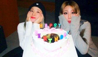 2NE1 CL Doğum Günü Pastası - Sandara Park
