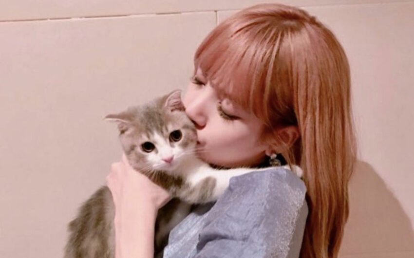 BLACKPINK Lisa: What Makes Me Happy are My Cats!