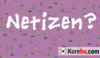 What is Netizen? Meaning