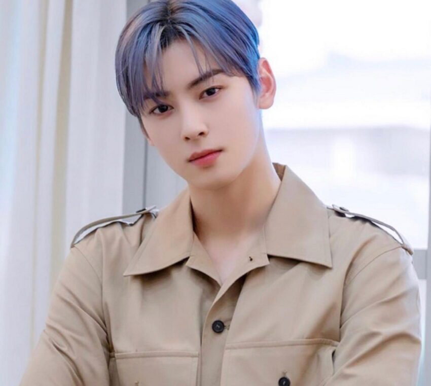 Which drama character does Cha Eun Woo look like best?