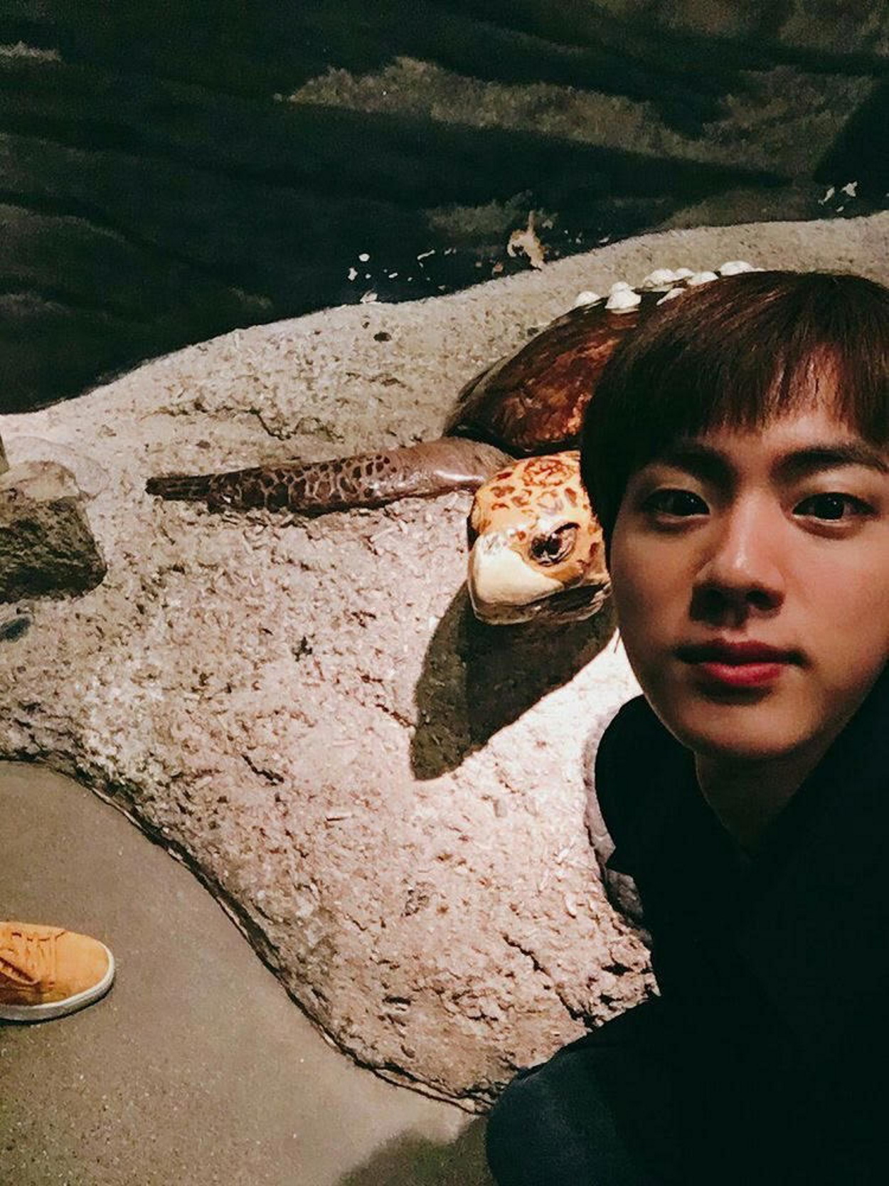 BTS Jin, “Crocs” slippers and the Water Turtle