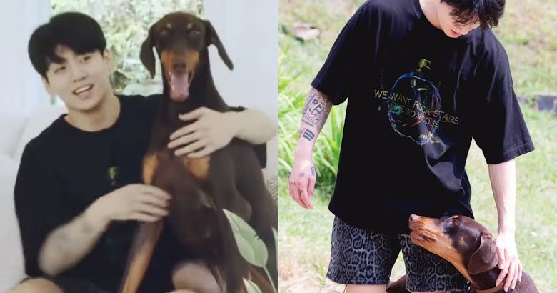 Jungkook’s Sweet Dog Bam Changed The World’s Views Of Dobermans!