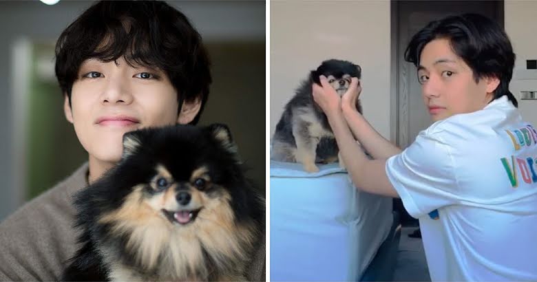 BTS’ten V ve Köpeği Yeontan Yeni Videolarıyla Kalbimizi Eritti!